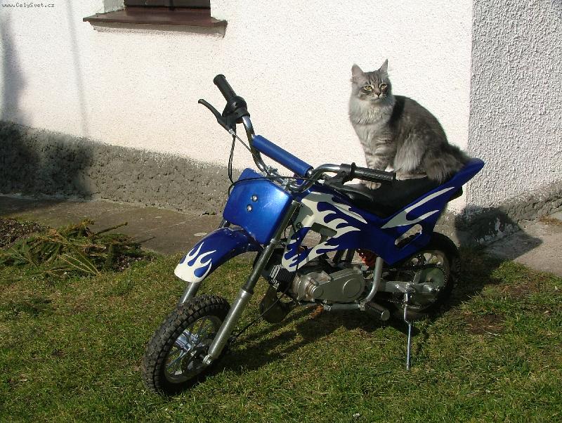Foto: motorkářka