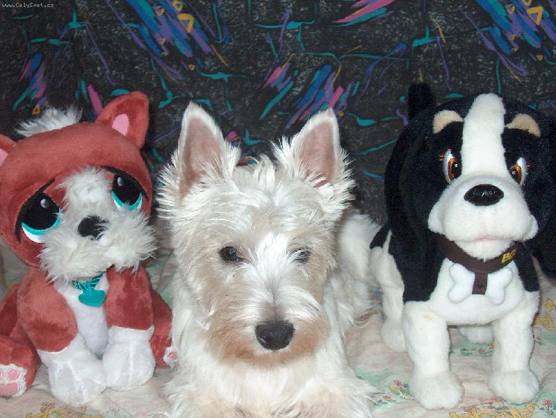 Foto: Já a mí kamarádi-Já a po stranách mí kamarádi Bobby a Opuštěné štěňátko