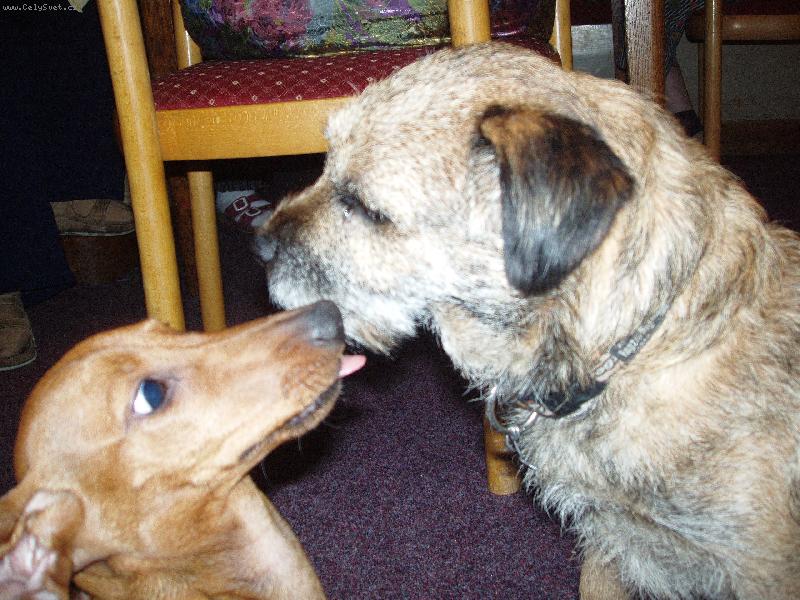 Foto: Monty a Eliška-Měl dobrou večeři.