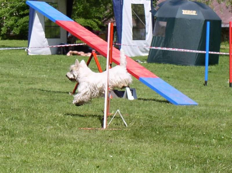 Foto: Ronny skáče první překášku-Ronny