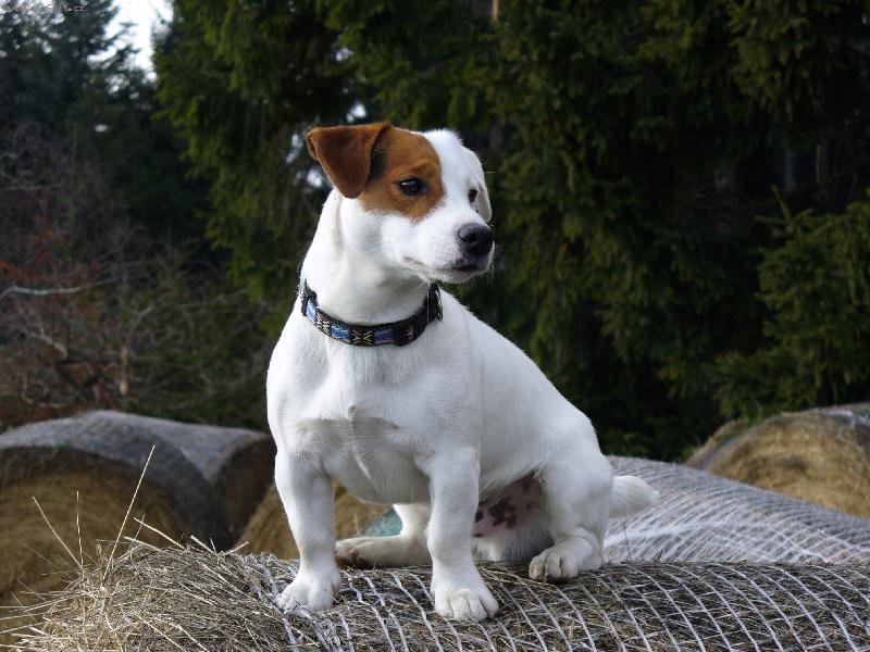 Foto: nejlepší pohled na svět je z balíku slámy