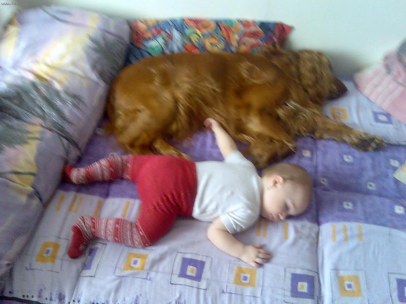 Foto: Jak si kdo ustele...:)