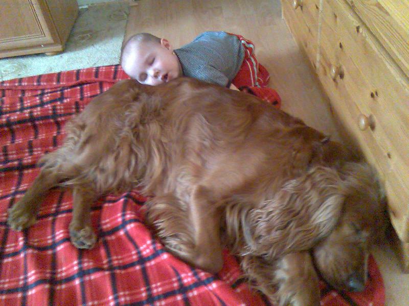 Foto: Není nad to se pěkně přitulit...