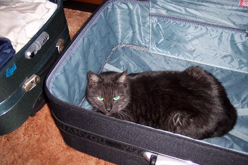 Foto: Kam na dovolenou