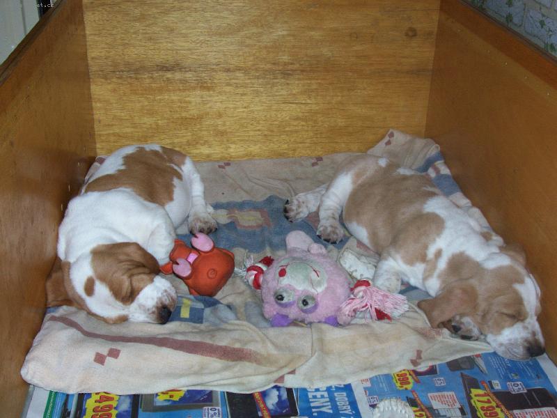 Foto: tichá domácnost