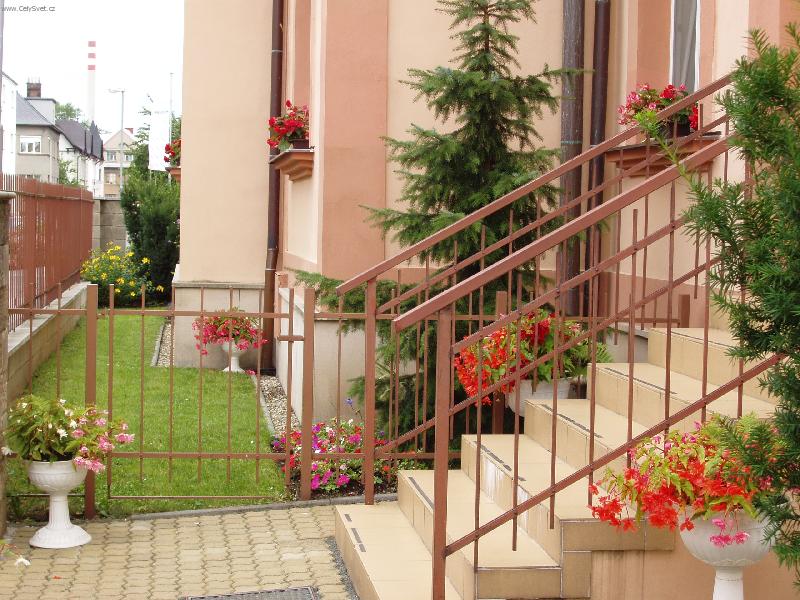 Foto: Begonie-Květinová výzdoba