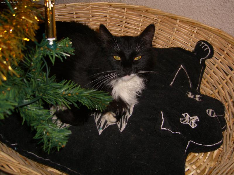 Foto: Uspokojí mě každá maličkost