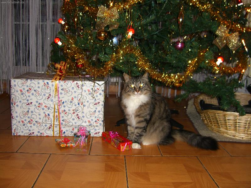 Foto: Tady Ježíšek....