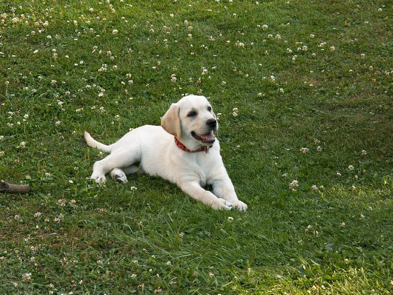 Foto: Naše Nettynka