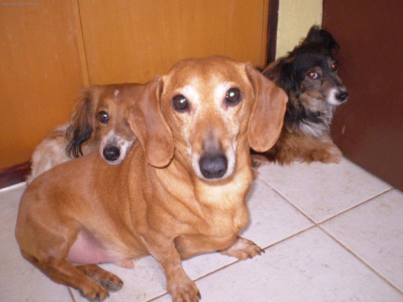 Foto: rodinka-příprava na odpolední siestu