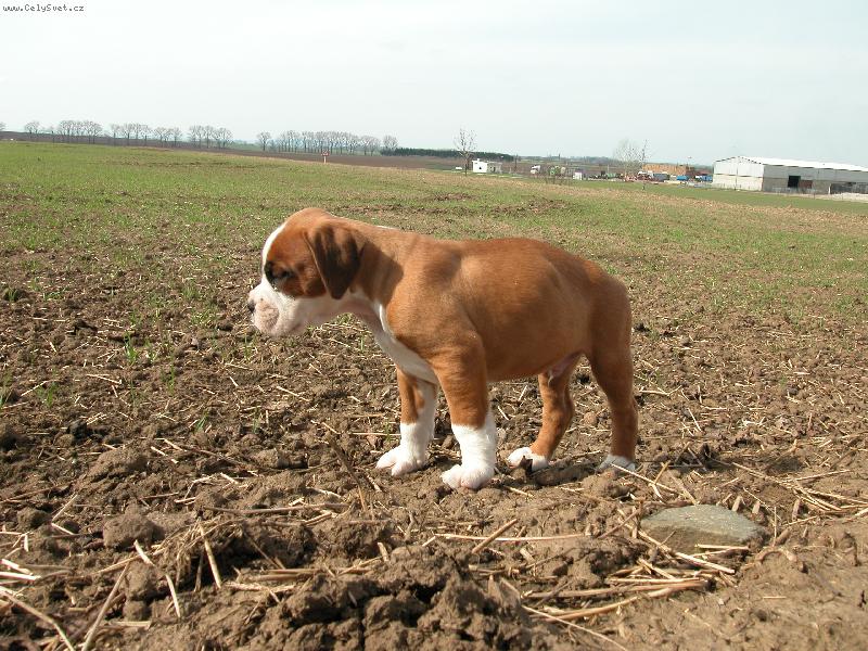 Foto: Tak si tu kráčím sám:o(