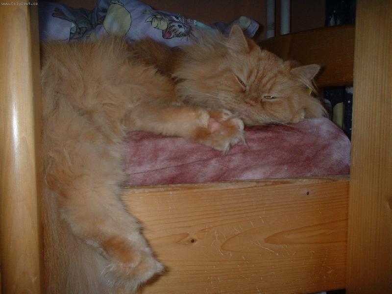 Foto: Saninka-nebudte Mě...