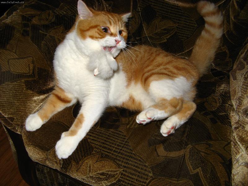 Foto: jsem lovec-Kubíček se svou nejmilejší hračkou