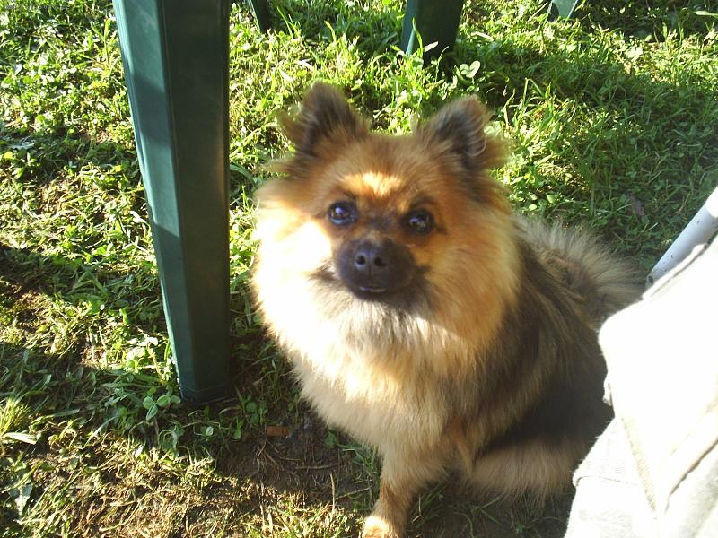 Foto: Naše Besyna-Besynka