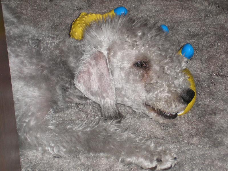 Foto: Jó to jsem byl ještě malej kluk