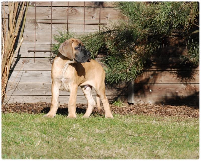 Foto: Krásný lednový den-Carmello