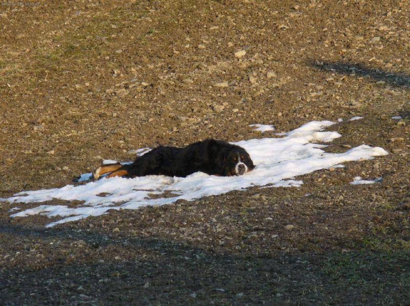 Foto: únor bílý, pole sílí...-poslední zbytky na sjezdovce