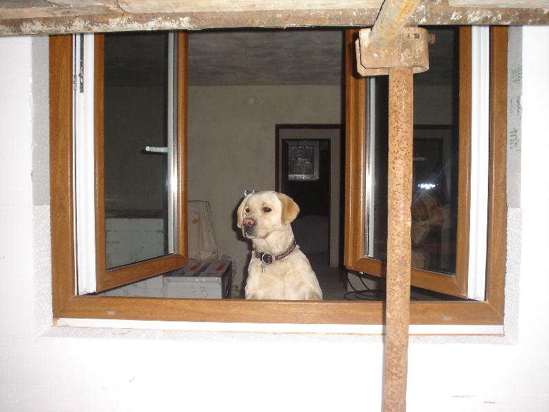 Foto: Tak napadne ještě sníh???-Kontrola počasí a všeho kolem