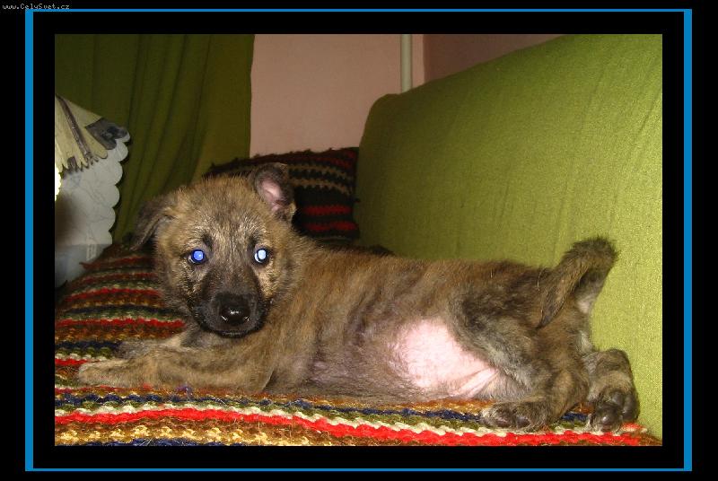 Foto: Já jsem Dášenka a todle je můj pupík:)