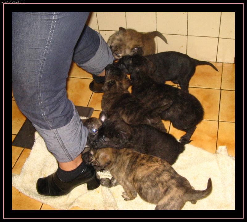 Foto: Dej nám něco! Nebo tě sníme!-:)