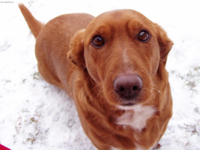 Foto: Boris-Náš prasopes:-))