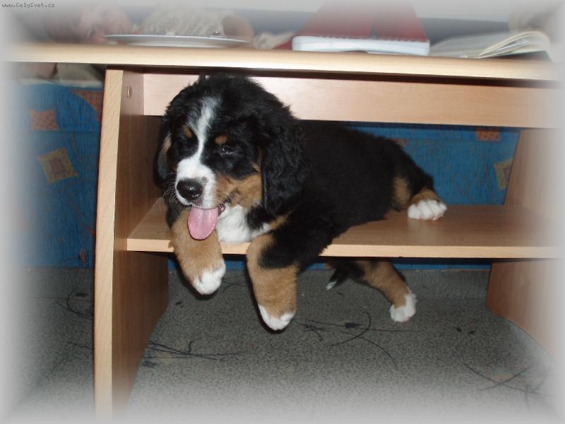 Foto: super miestečko-super miestečko