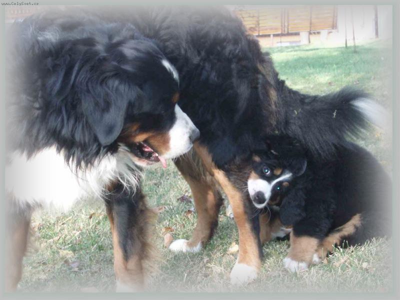 Foto: som malá ale šikovná :)-Bernadetta Valašské slunce