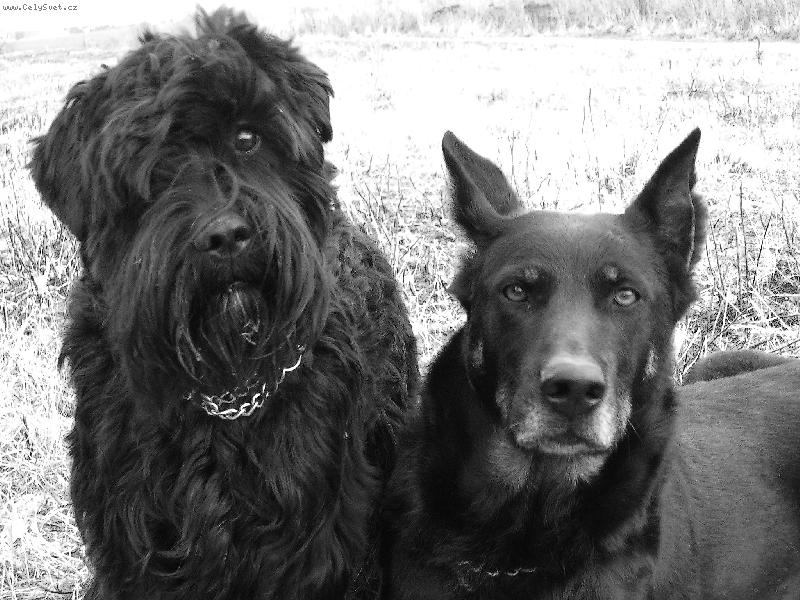 Foto: kámoši-kámoši