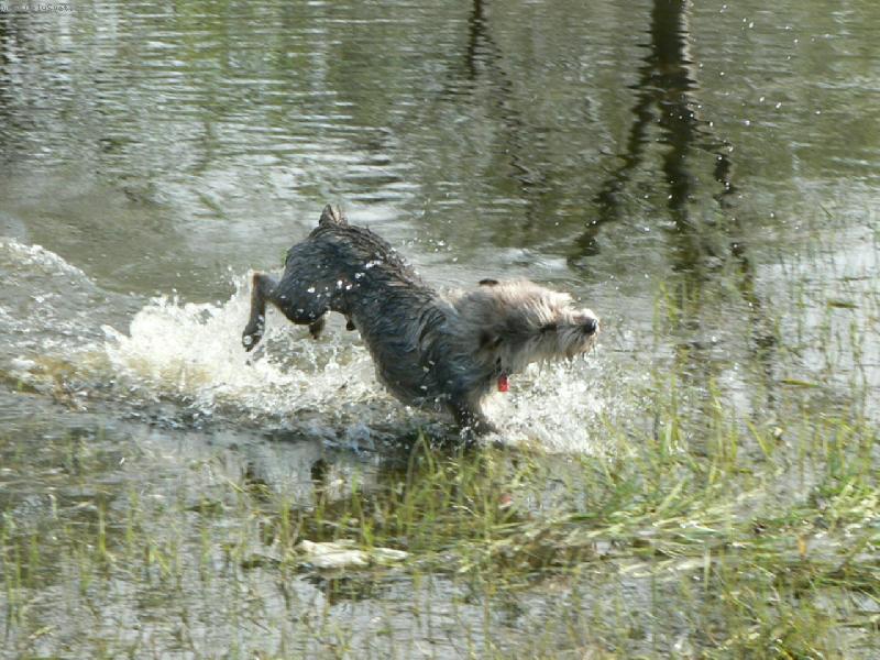 Foto: Kubíček-blázen do vody