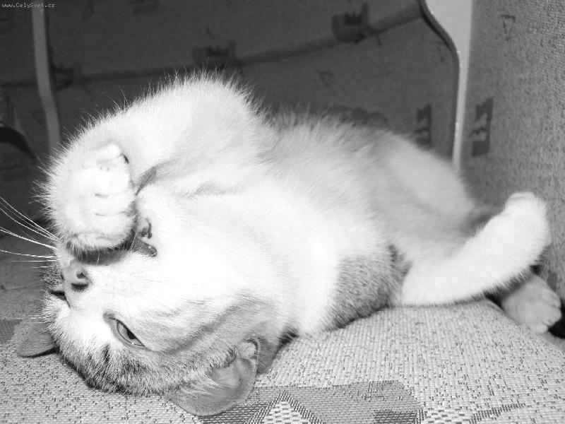 Foto: Middlesbrough-"mňam, ta packa je ale dobrá!"