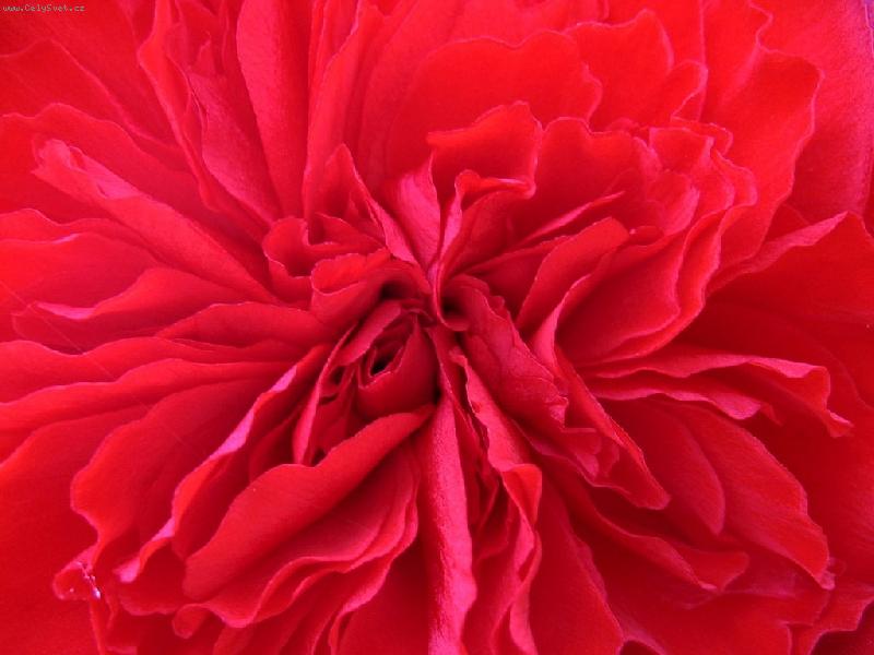 Foto: až oči přechází