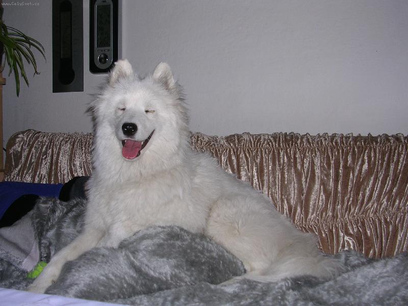 Foto: po velké jarní procházce