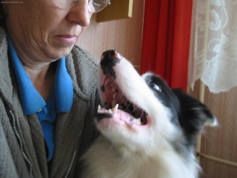 Foto: s paničkou je dobře