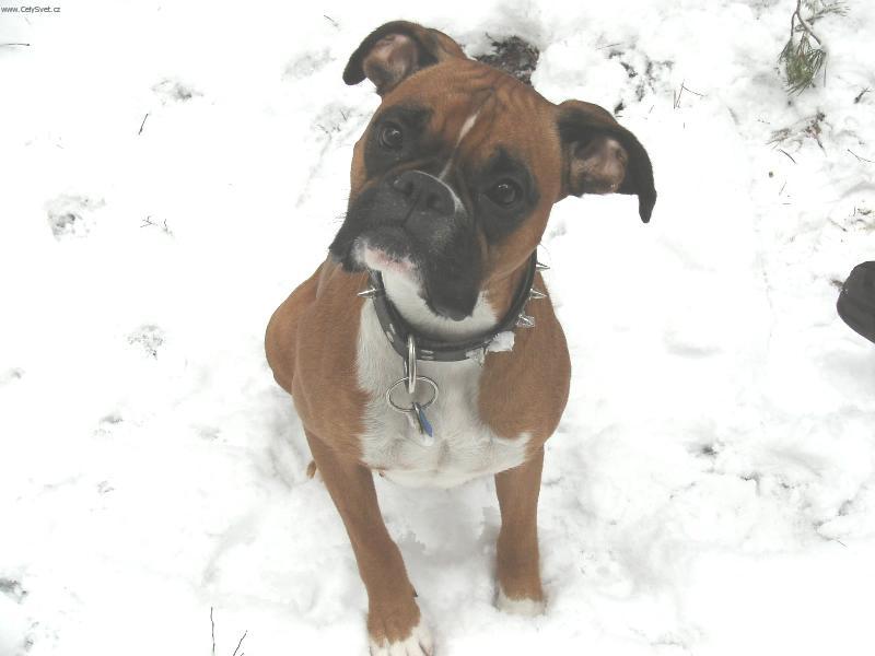 Foto: Sárunka-Naše nej Sárinka