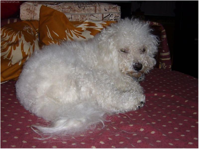 Foto: Mžourající Amík-Mžourající Amík