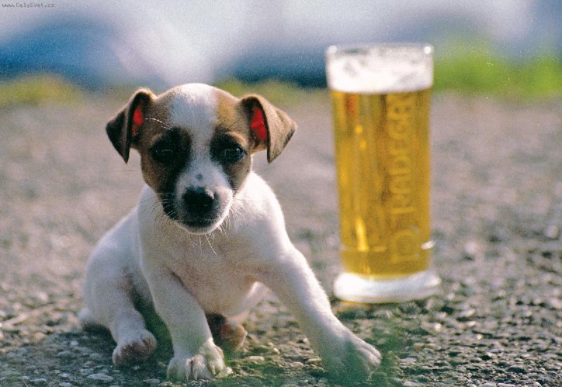 Foto: Mija-Už se teším zase na teplo....