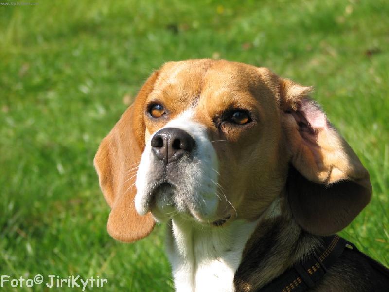 Foto: Nejsem někde rozcuchaná?!