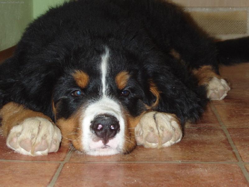 Foto: To je můj Fabiánek