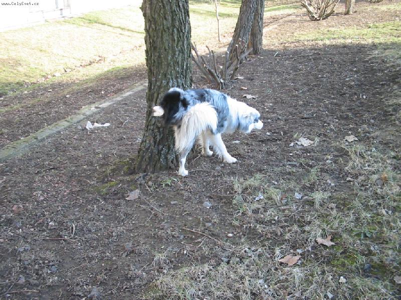 Foto: taky mám potřeby