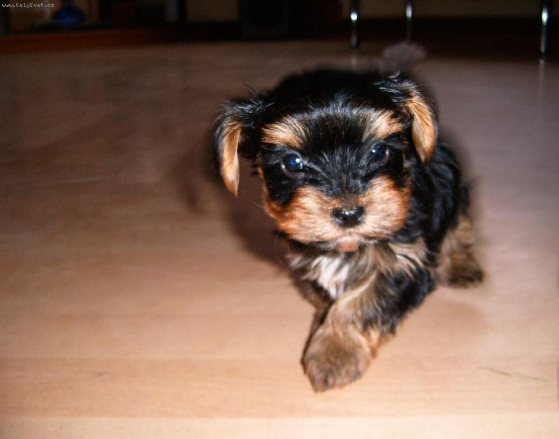 Foto: Max�k-u� b��m...