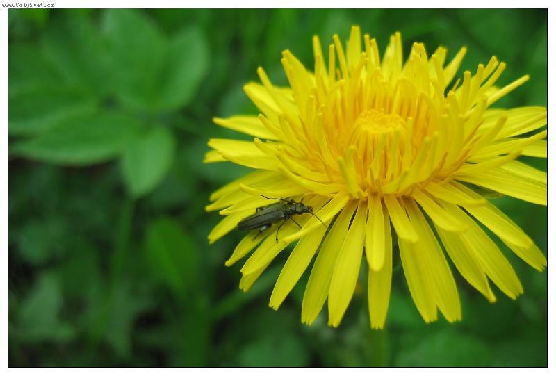 Foto: Tady se mi líbí!!!