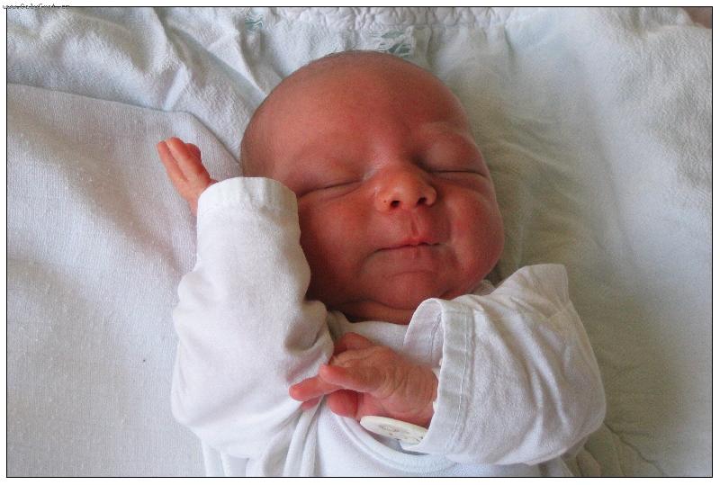 Foto: To je krásný sen!