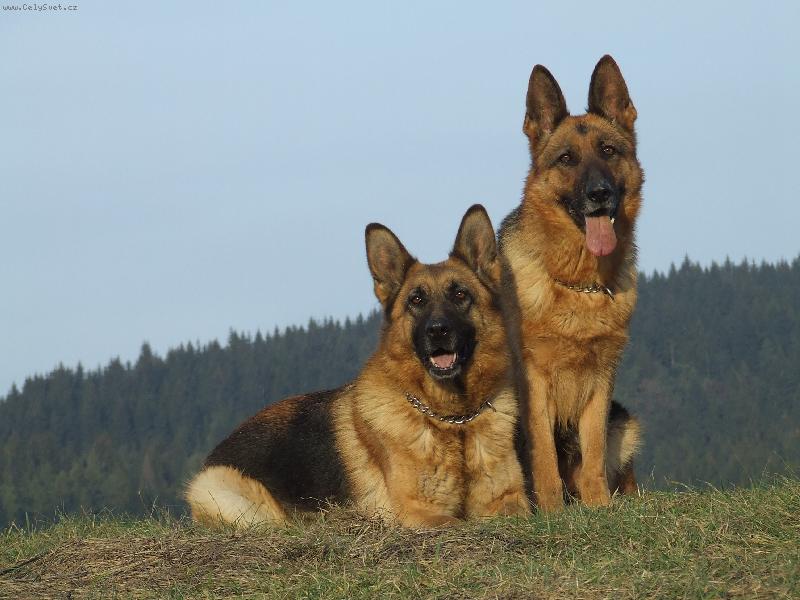 Foto: máme pekný výhľad