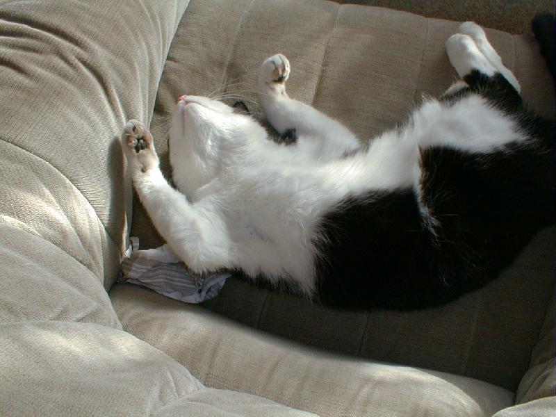 Foto: Žiješ?-Nunánek