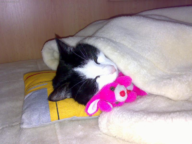 Foto: Hají...-Nunánek