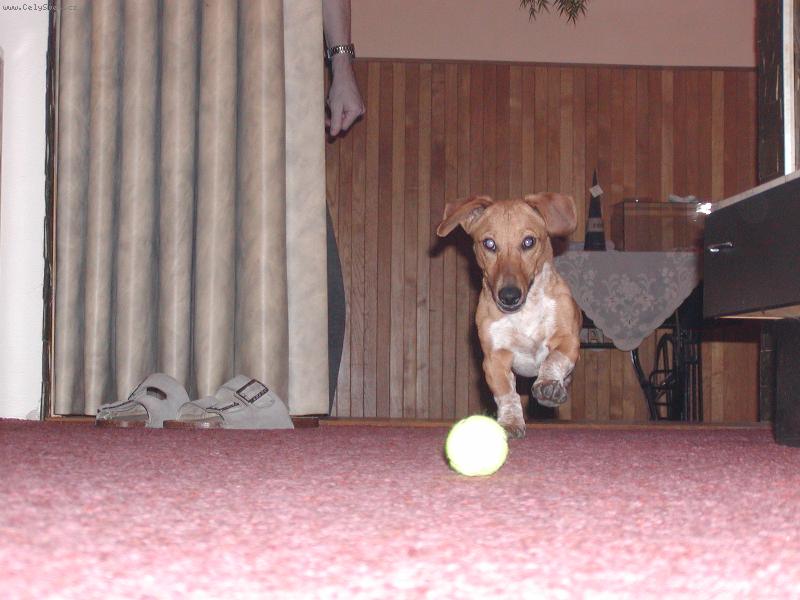 Foto: Timi-Můj balónek!!!