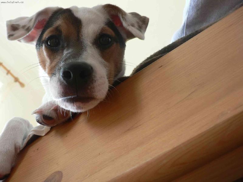 Foto: FATTY HOP TROP-Co tam dole děláš??