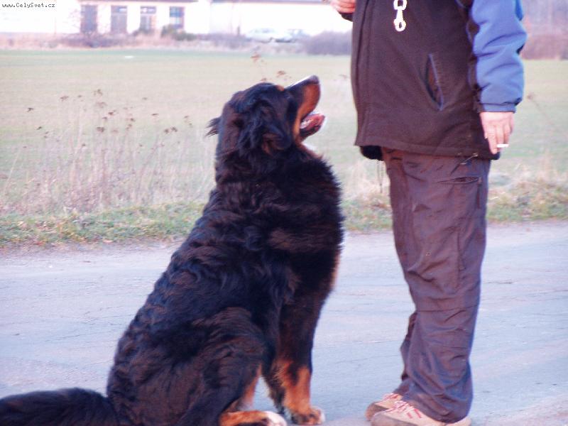 Foto: Achil z Opatovických luk-Achil s paničkou