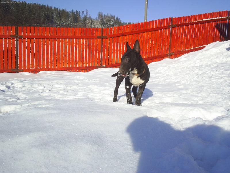 Foto: Ozzy-Kampak zmizel sníh???