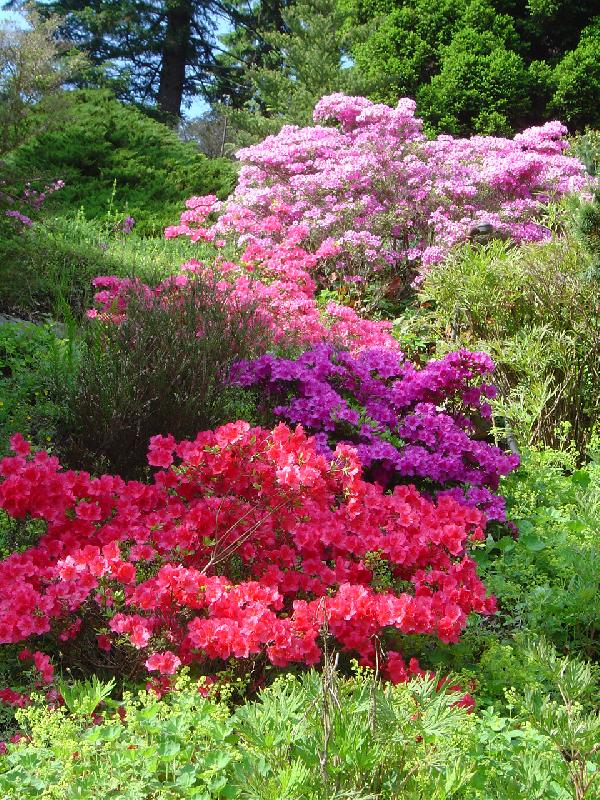 Foto: park v Průhonicích